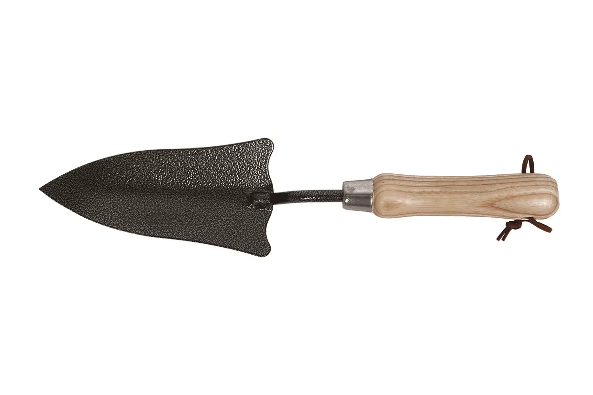 Transplanter