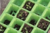 24 Cell Square Propagator Set 24 Cell Square Propagator Set