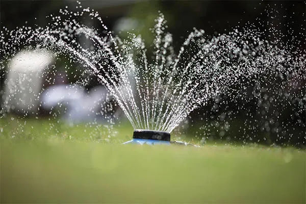 9- Pattern Plastic Sprinkler