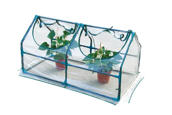2 Window Green House