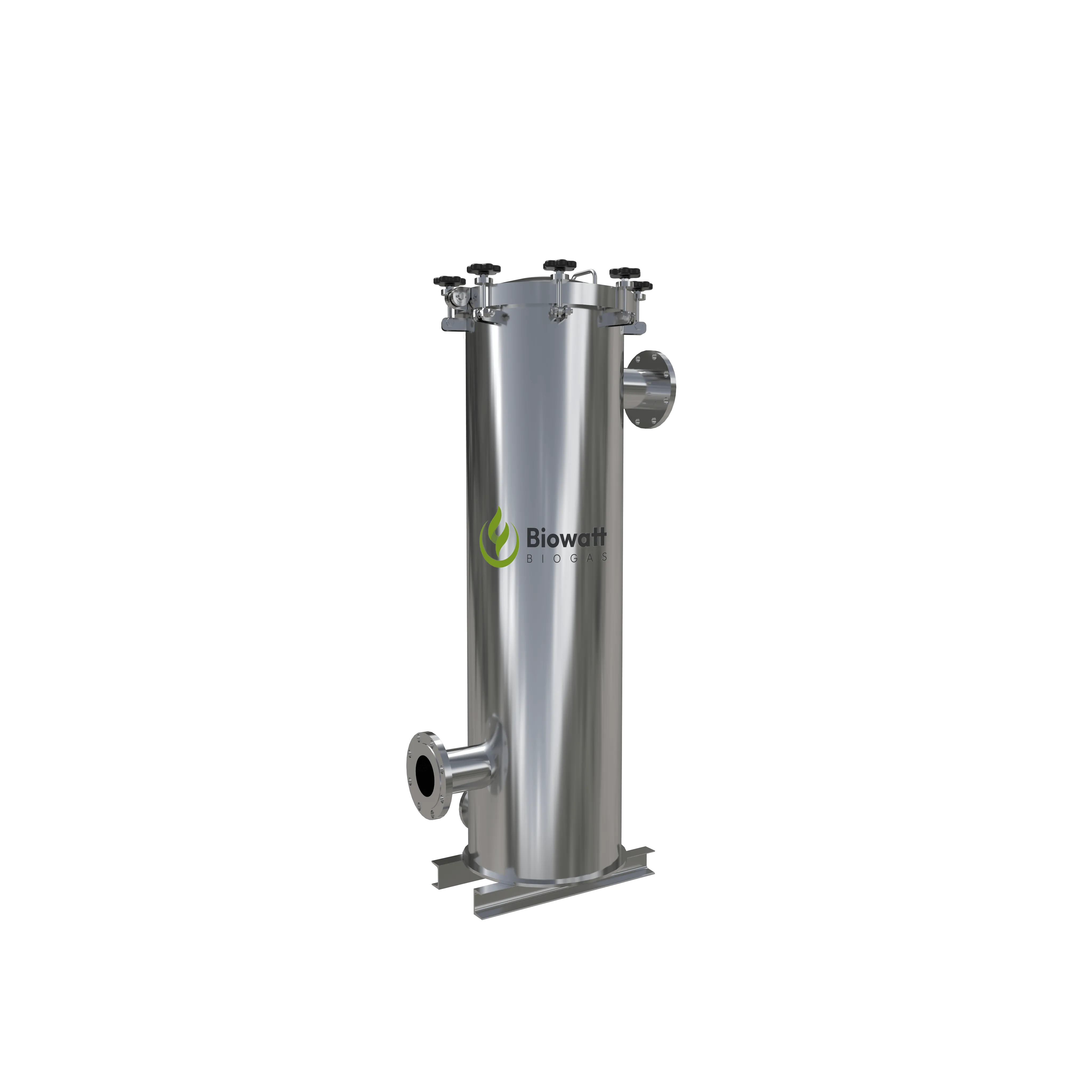 Biogas Filter: 304 Stainless Steel Primary & Precision Filtration