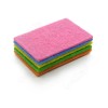 Scouring Pad