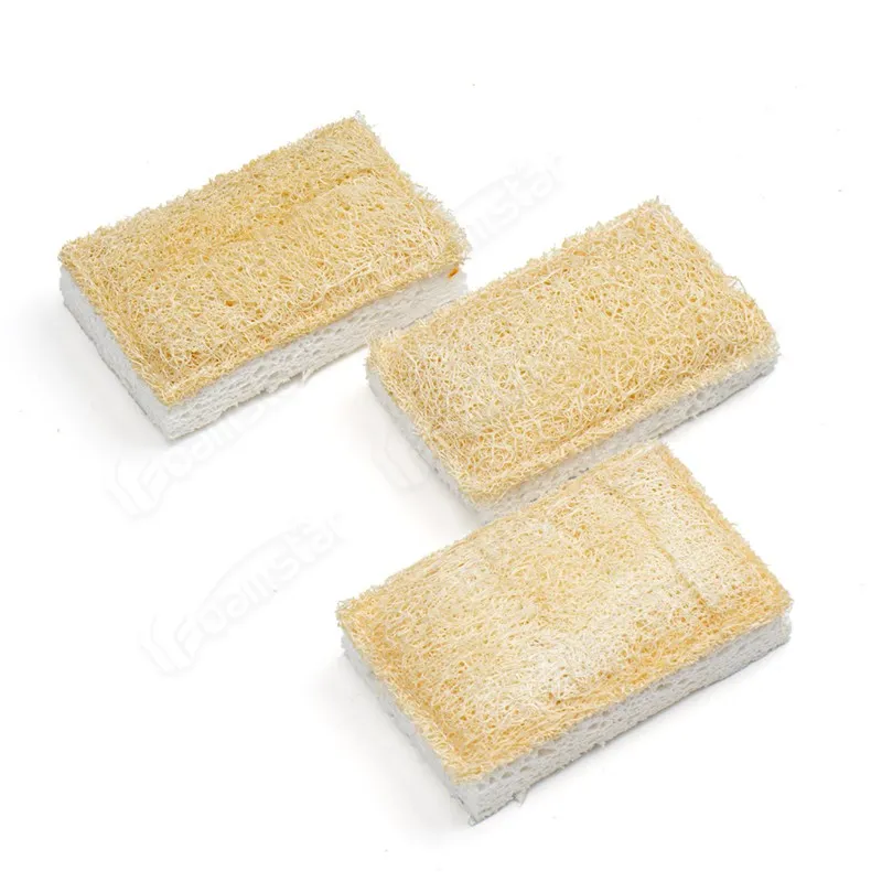 Loofah Sponge