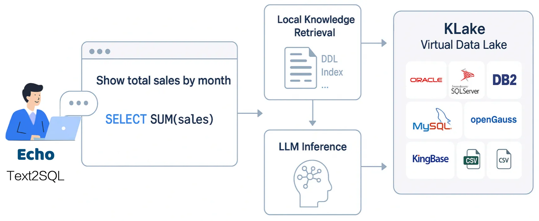 Echo Natural Language Data Query System manufacturer, company ...
