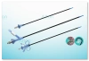 Ureteral Access Sheath