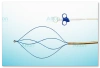 Disposable Retrieval Basket(Spirality Type)