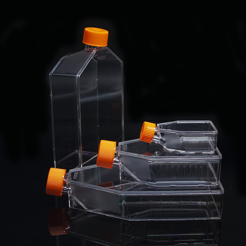 T75 Flask Cell Number at Colleen Carney blog