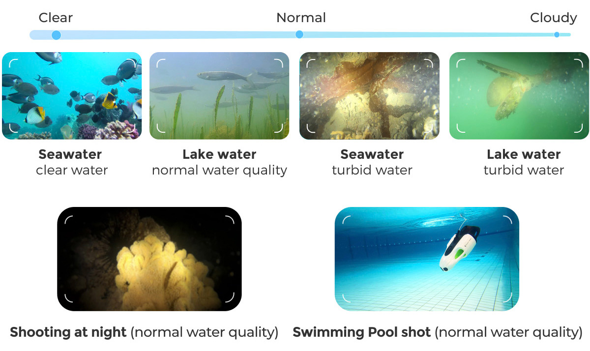 underwater images