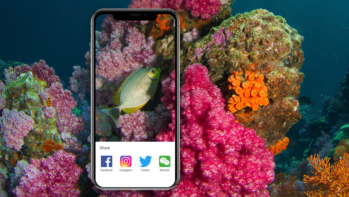 share underwater photos and videos
