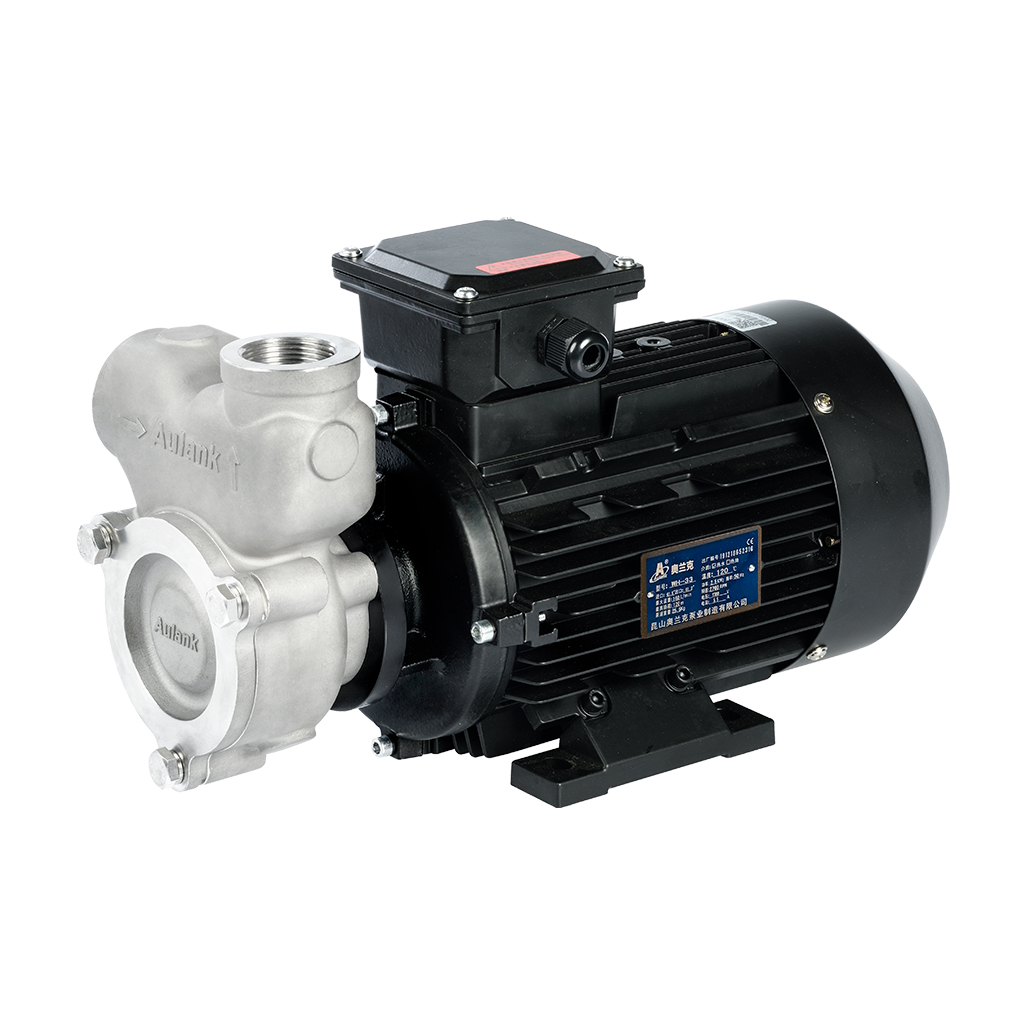 WH Stainless Steel Water Oil Pump