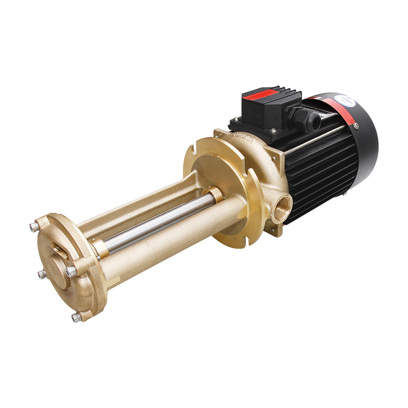 WL Vertical Oil Water Vortex  Pump
