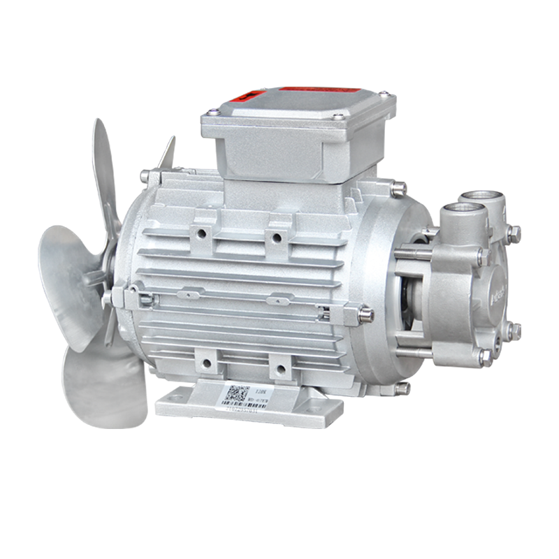 Polyurethane foaming machine high-temperature hot oil pump WD Aulank pump