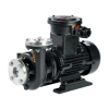 RGP hot water pump, hot water circulation pump, high-temperature hot water pump