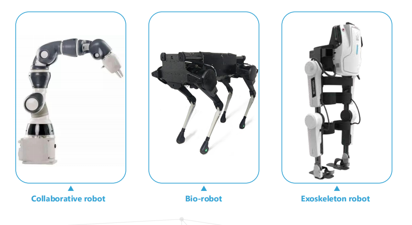 High Torque Robot Joint For Building Exoskeleton Robot, Lower Limb ...