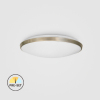 CL09-12-PR-03   12W LED Surface Mounted Ceiling Light
