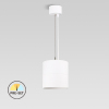 PD07-25-PR-01   22.5W LED Pendant Light