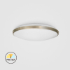 CL09-18-PR-03   18W LED Surface Mounted Ceiling Light