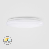 CL09-18-PR-02   18W LED Surface Mounted Ceiling Light