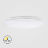 CL09-28-PR-02   28W LED Surface Mounted Ceiling Light