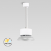 PD07-25-PR-02   22.5W LED Pendant Light