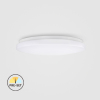 CL09-12-PR-02   12W LED Surface Mounted Ceiling Light