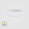 CL09-12-PR-01  12W LED Surface Mounted Ceiling Light