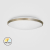 CL09-28-PR-03   28W LED Surface Mounted Ceiling Light