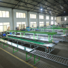 Apple Washing Sorting And Packing Line