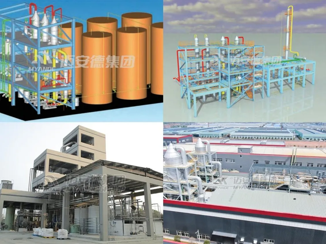 Full-process services by Myande