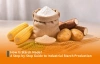 How Is Starch Made? A Step-by-Step Guide to Industrial Starch Production