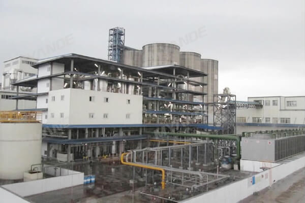 Planta de trituración de colza y soja de 3,000tpd