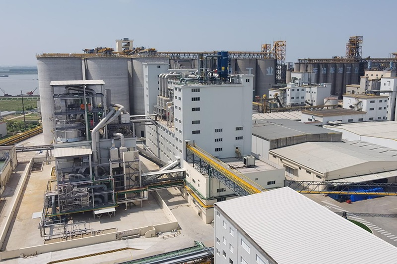Línea de trituración de soja COFCO 5,000tpd