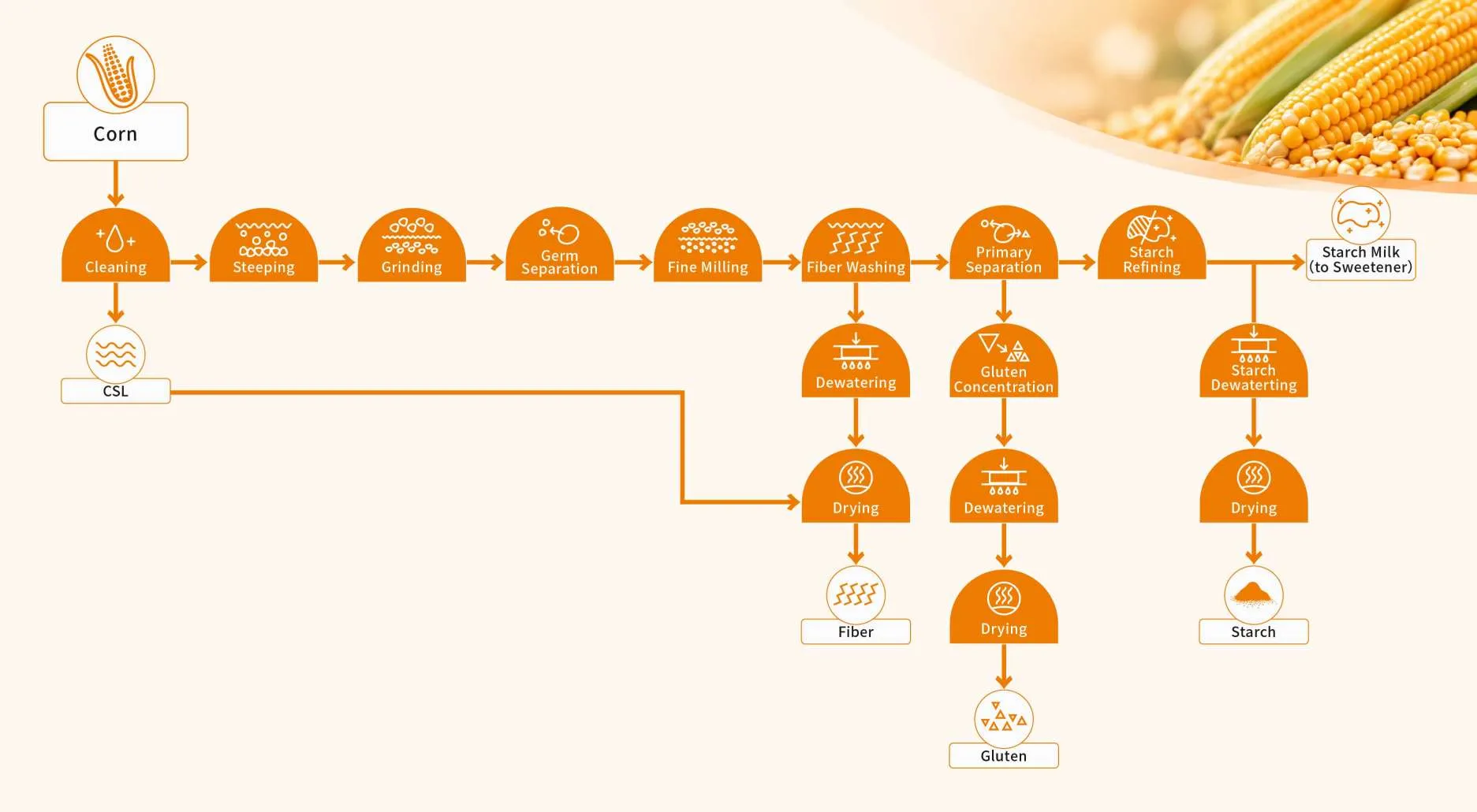 Corn starch production process flow diagram