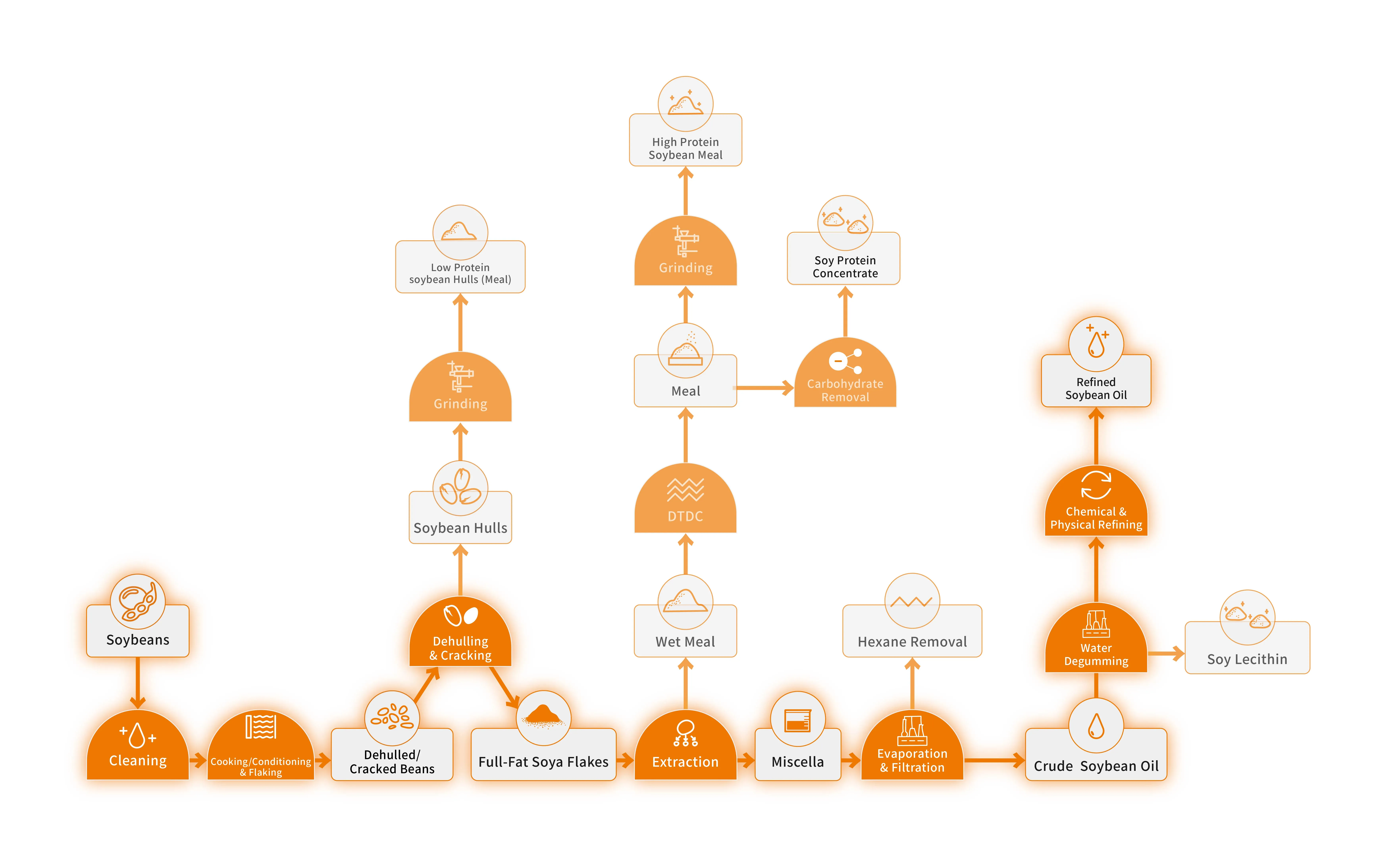 Soybean Oil Production Line Process Flow