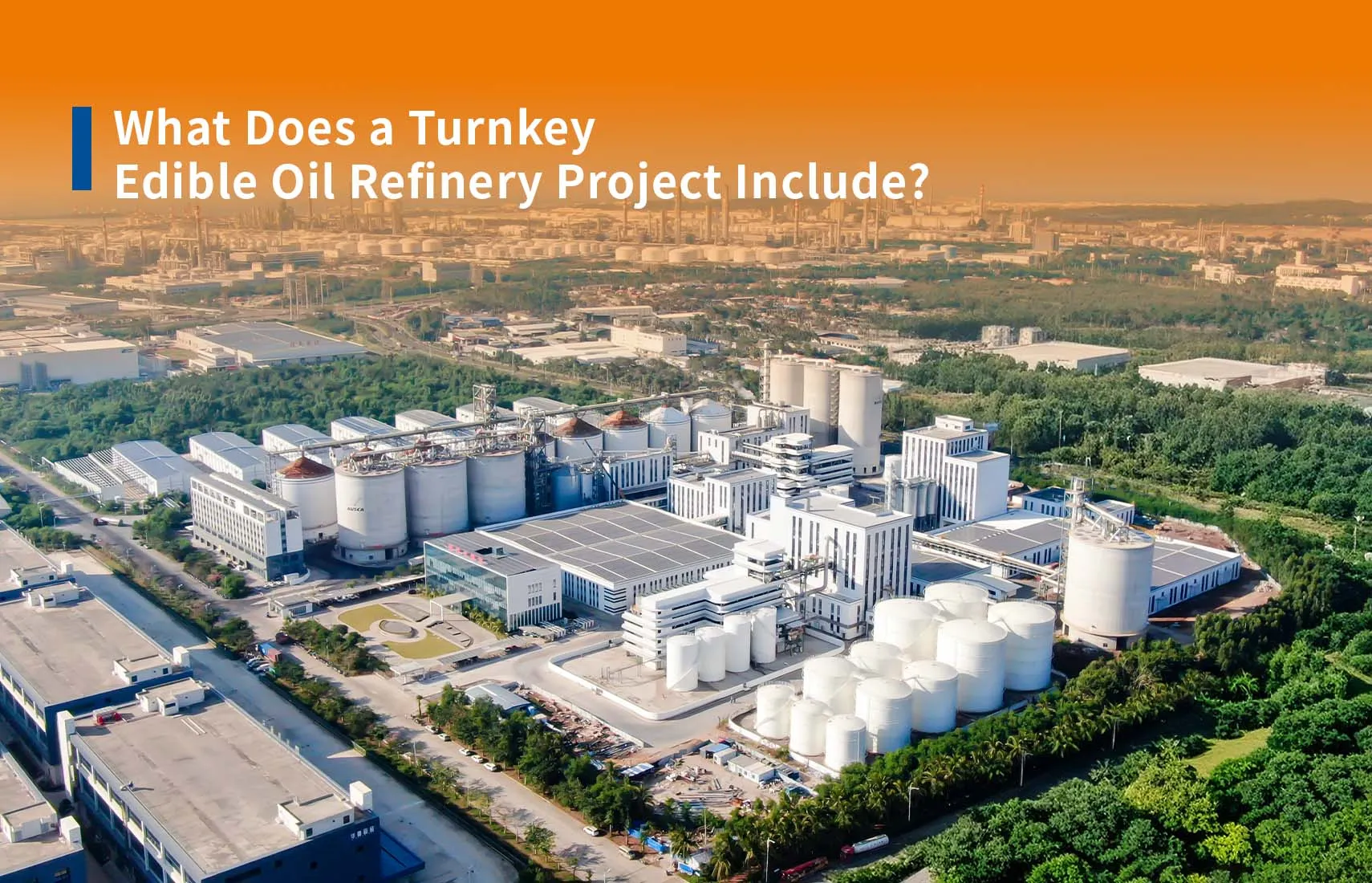 What Does a Turnkey Edible Oil Refinery Project Include?