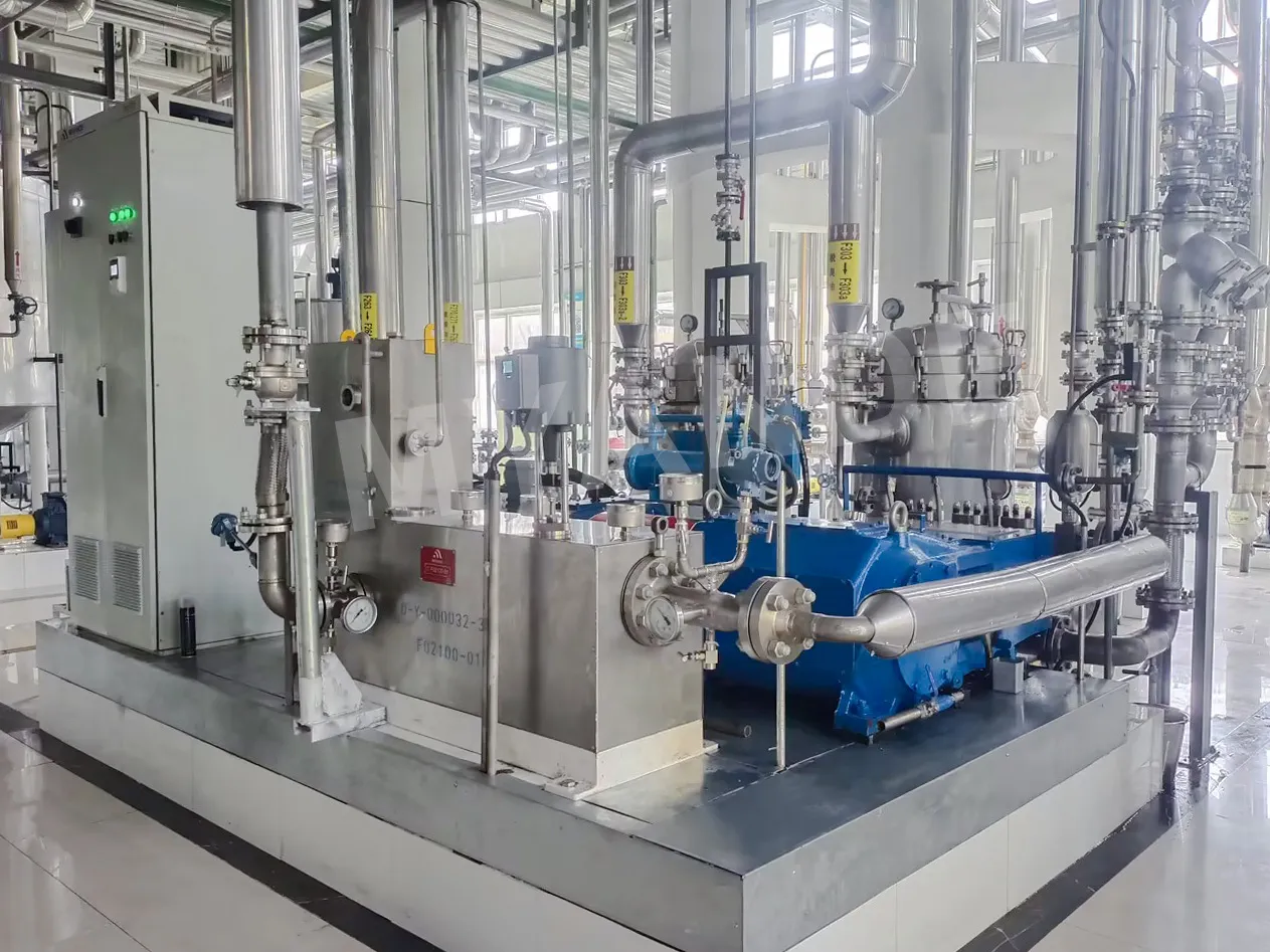 Nanocavitation System supplied by Myande