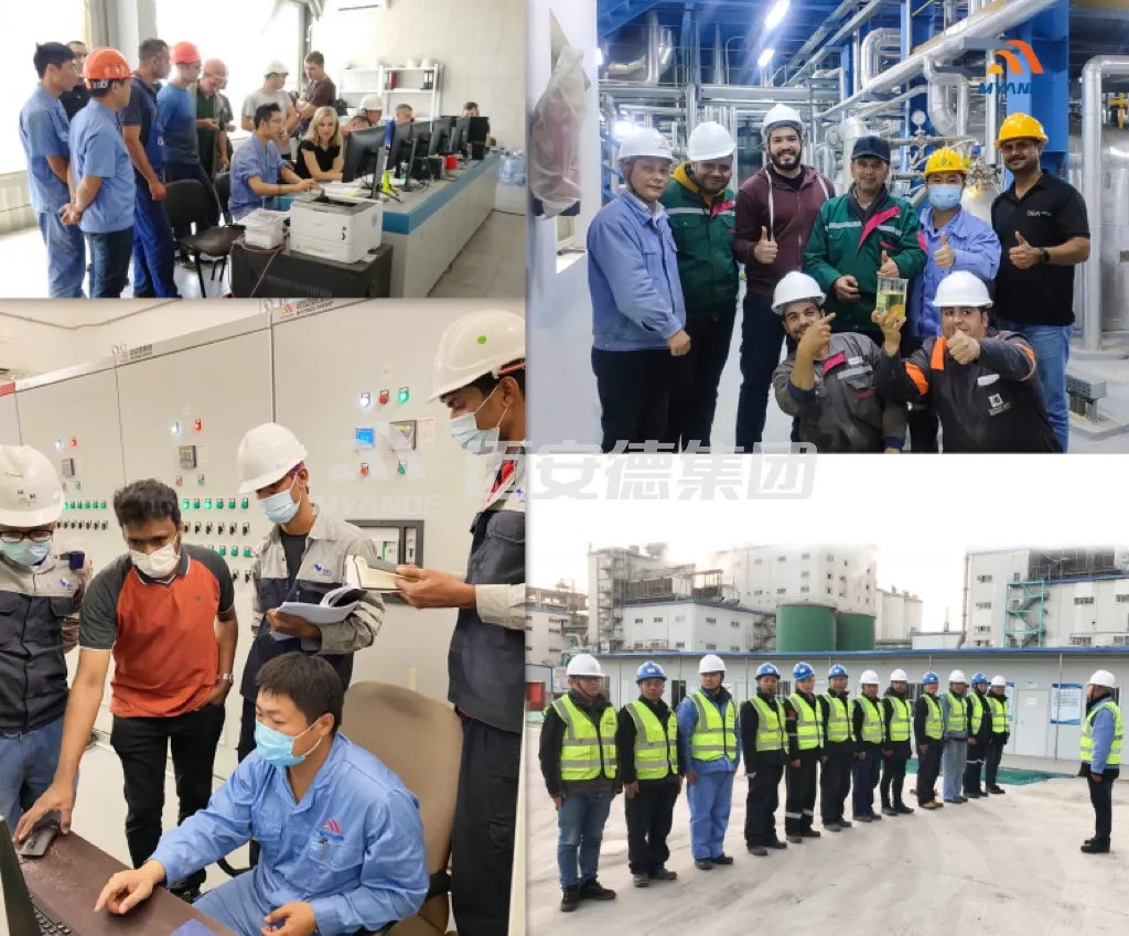 End-to-end Services provided by Myande