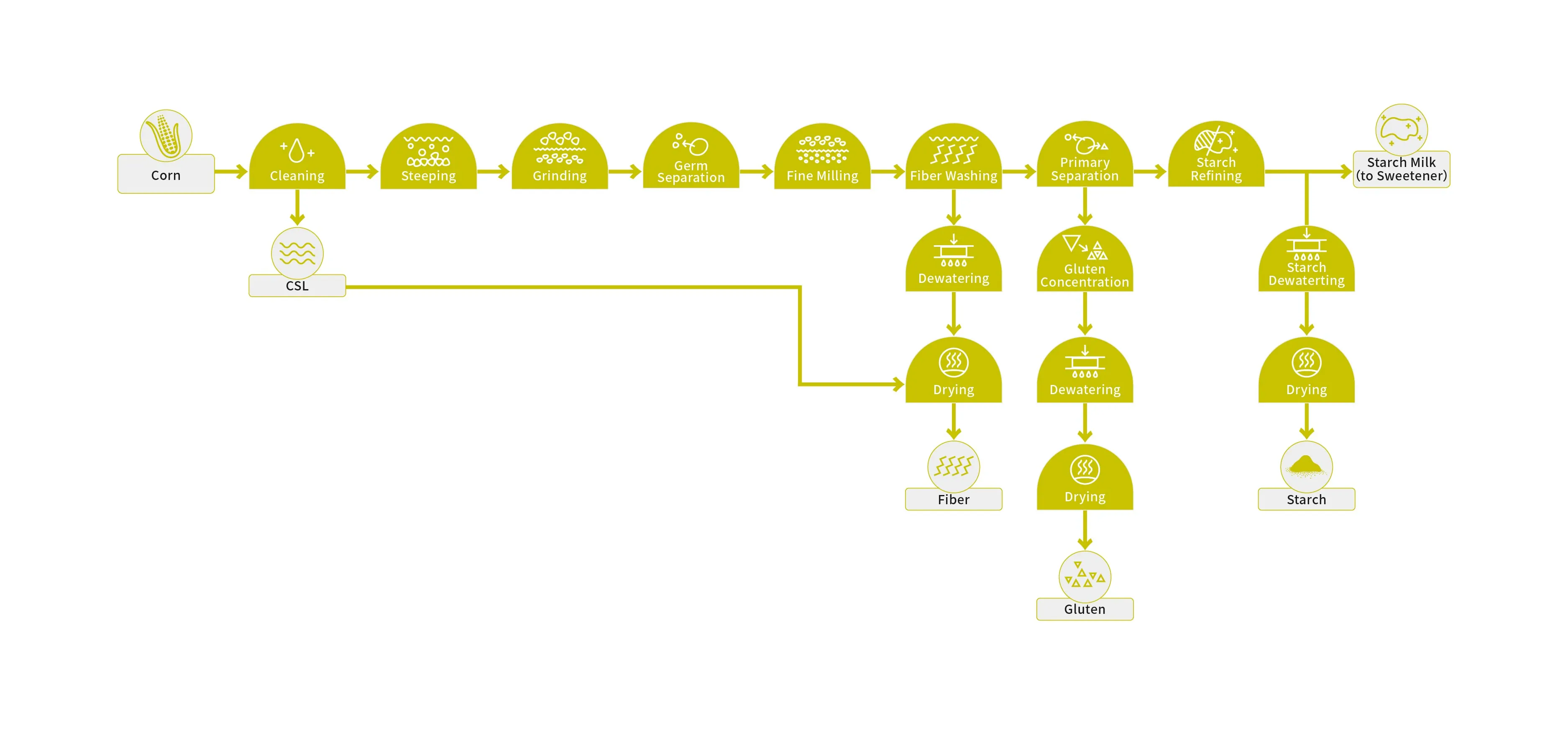 Corn starch processing flow from corn preparation and steeping to starch separation and drying