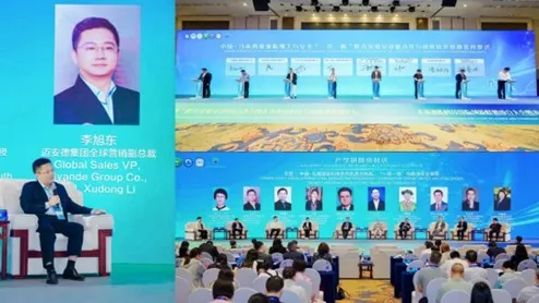 Mr. Li Xudong, Global Marketing Vice President of Myande Group