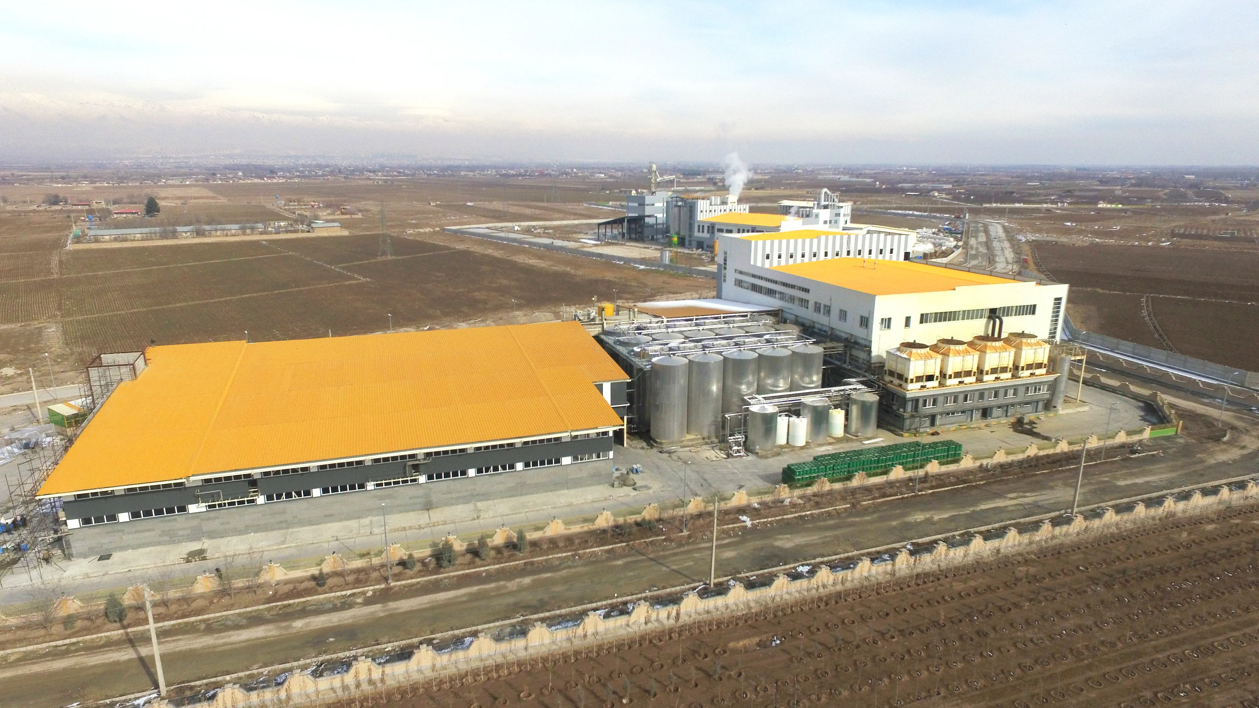 Starch Processing Line