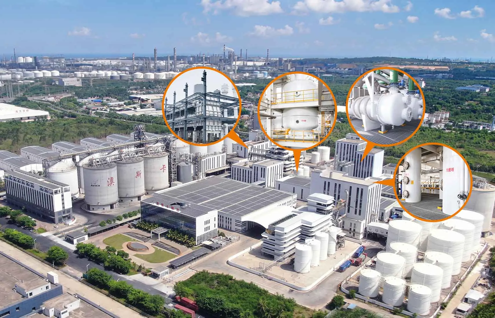 Soybean oil extraction process plant selection framework
