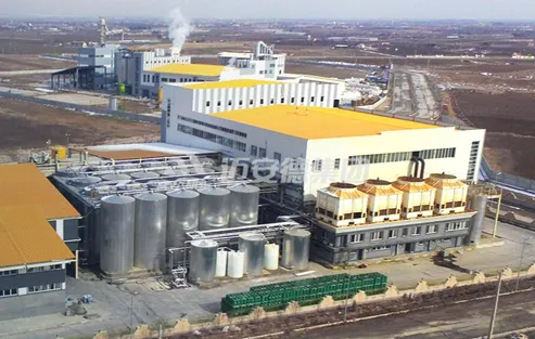 starch-based sugar plant delivered by Myande