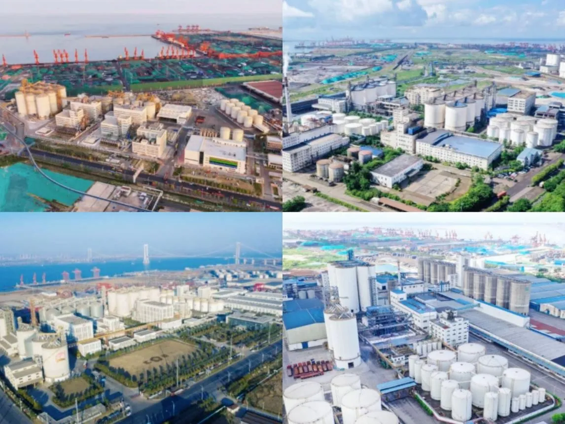 Oil Refining Production Line supplied by Myande