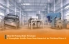Starch Production Process: A Complete Guide from Raw Material to Finished Starch