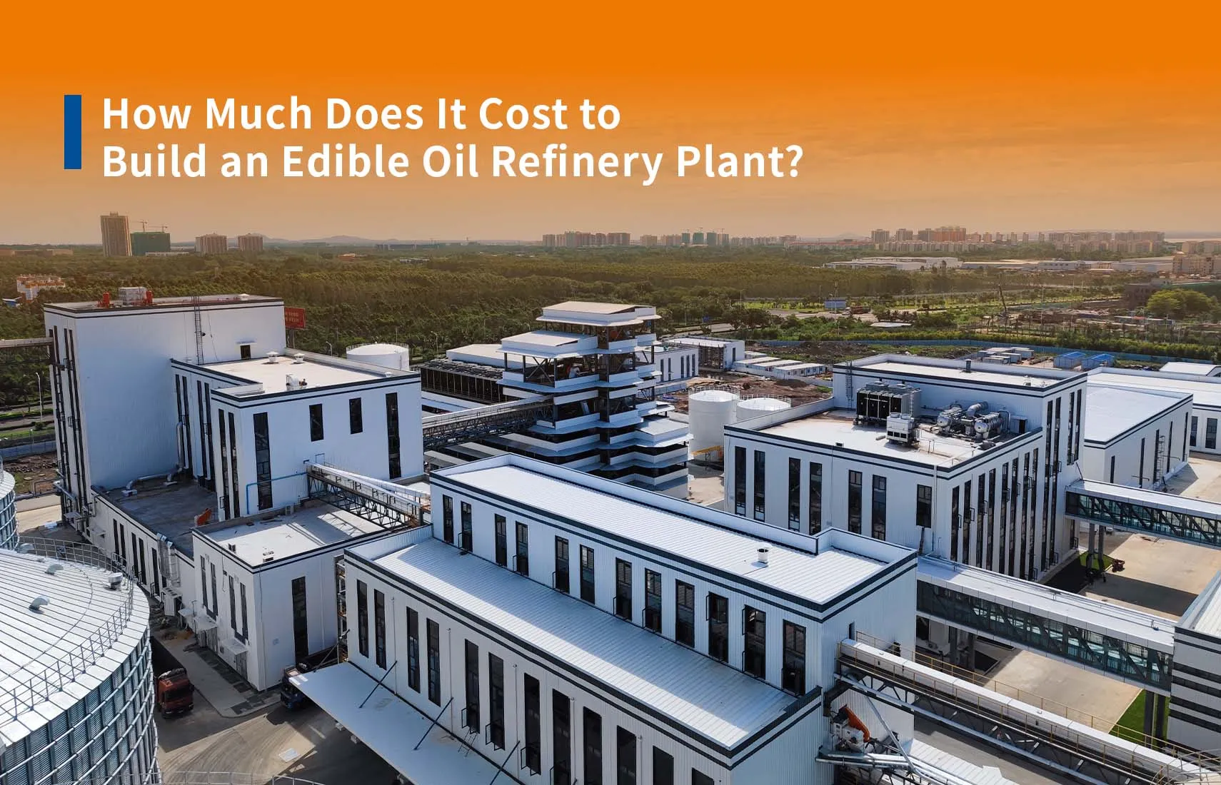 How Much Does It Cost to Build an Edible Oil Refinery Plant?