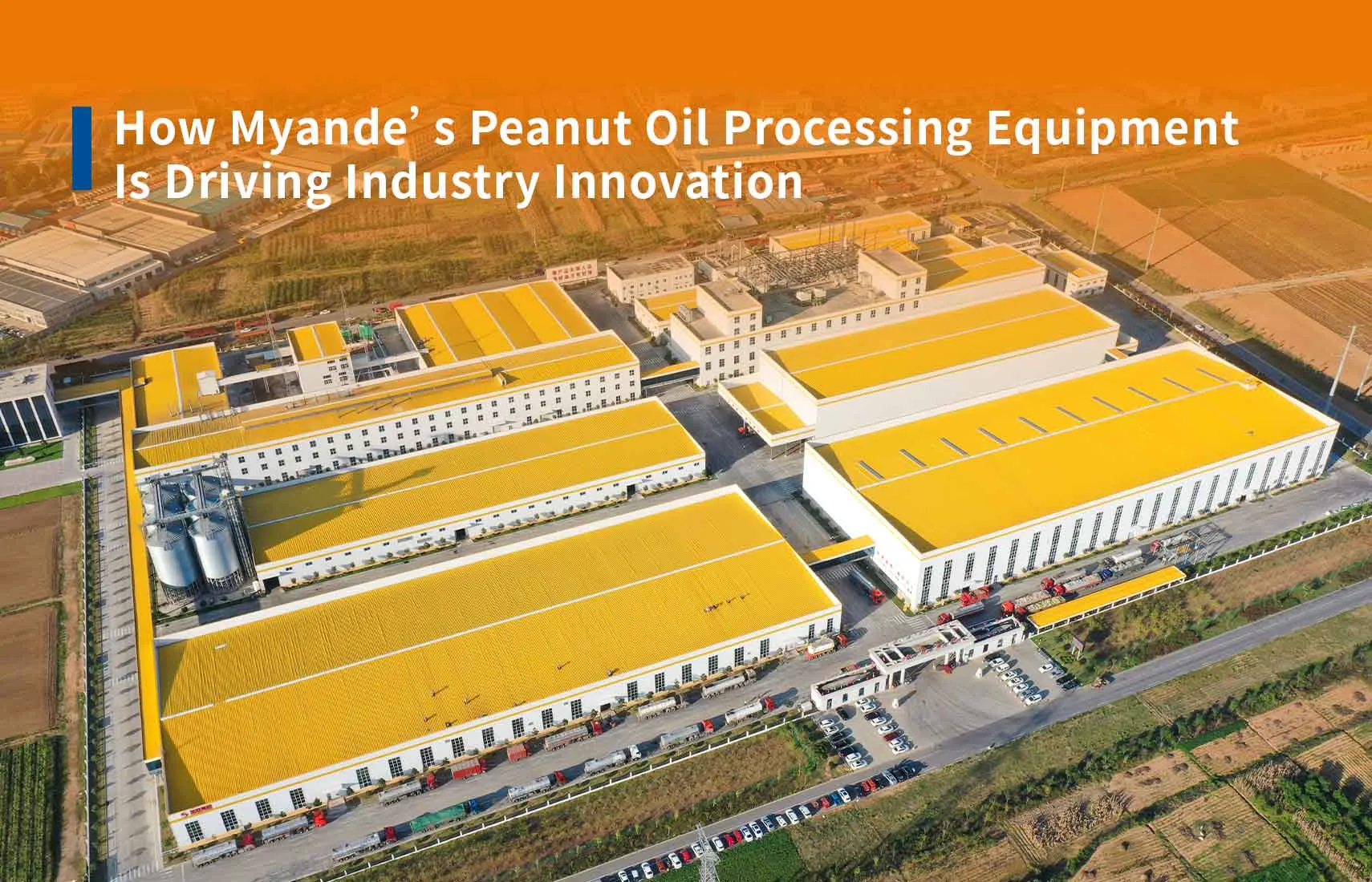 How Myande’s Peanut Oil Processing Equipment Is Driving Industry Innovation