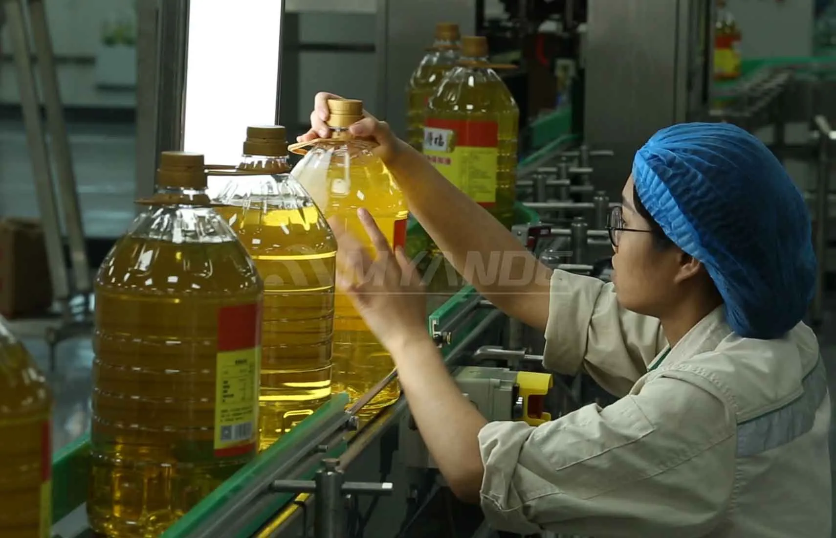 Soybean Oil Production Line Process Planning