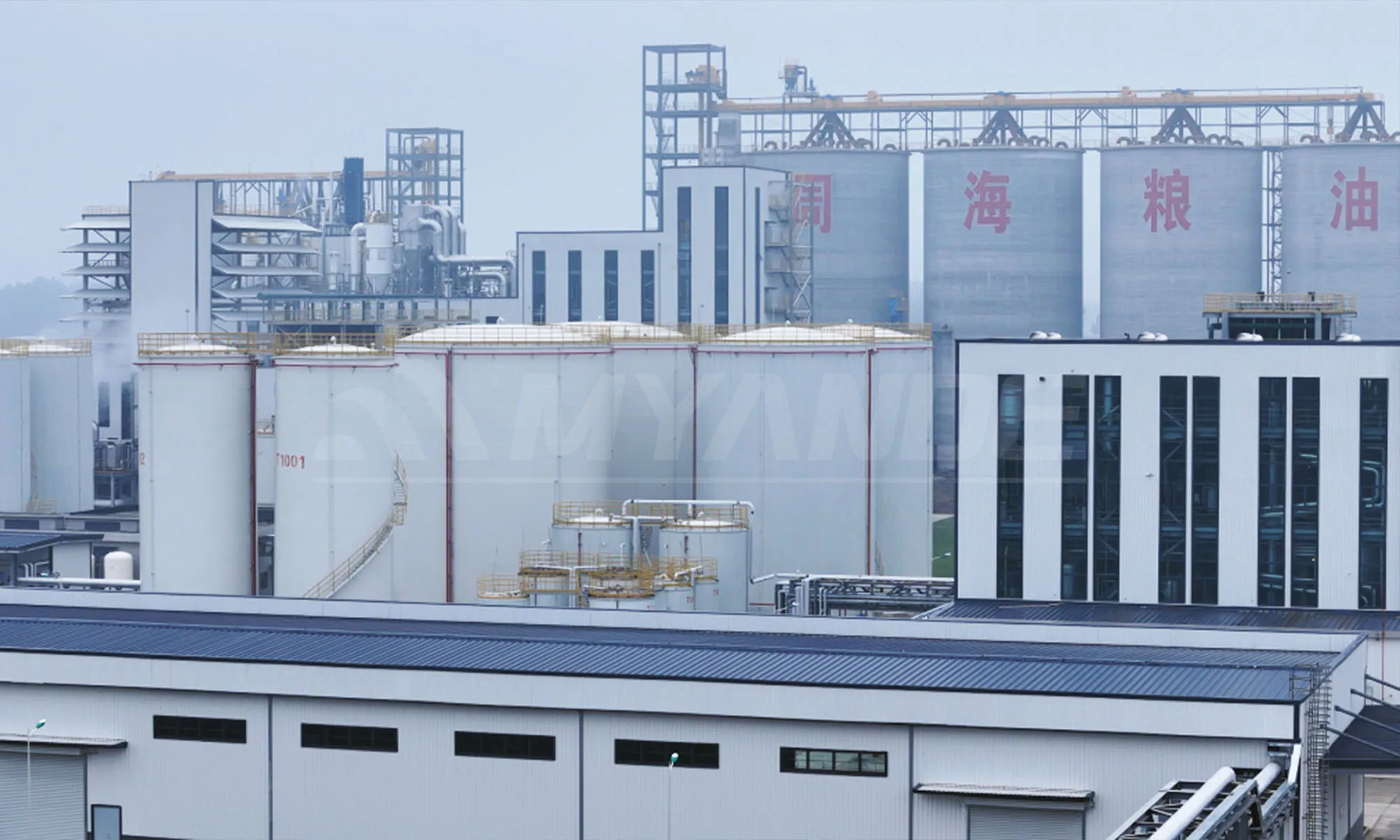 Vegetable Oil Production Line delivered by Myande