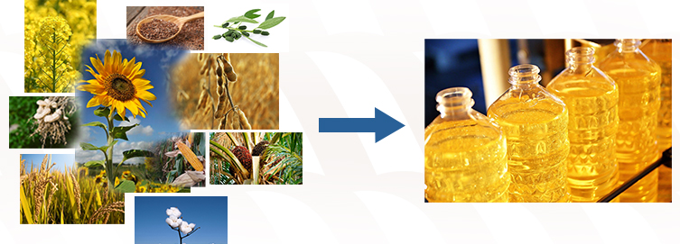 Edible oil production