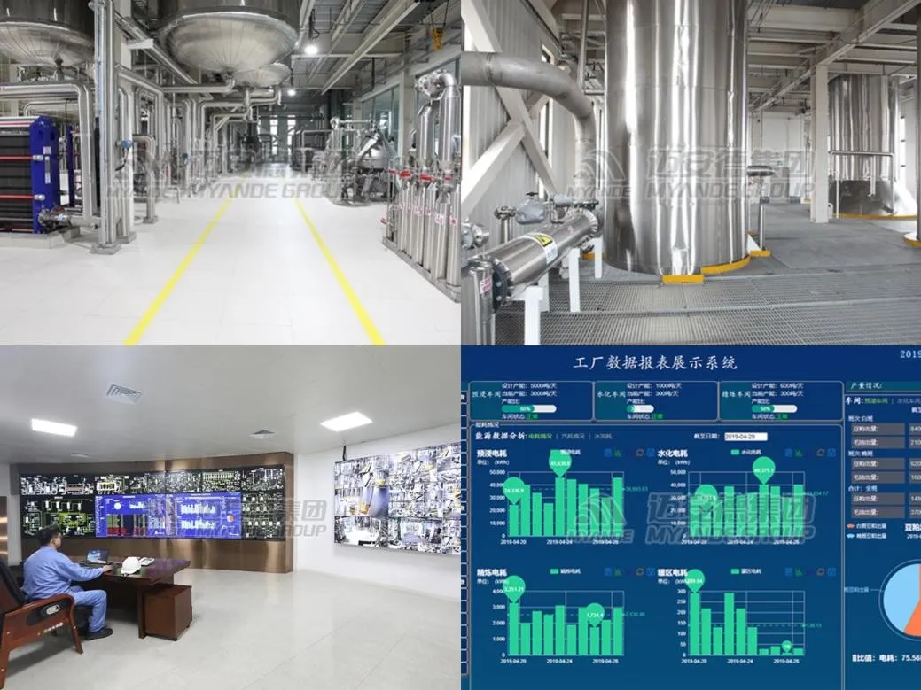 Intelligent Manufacturing supplied by Myande